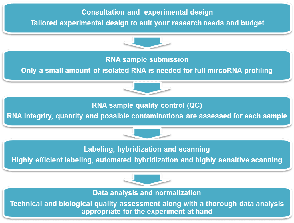 Workflow of miRNA Expression Profiling Service